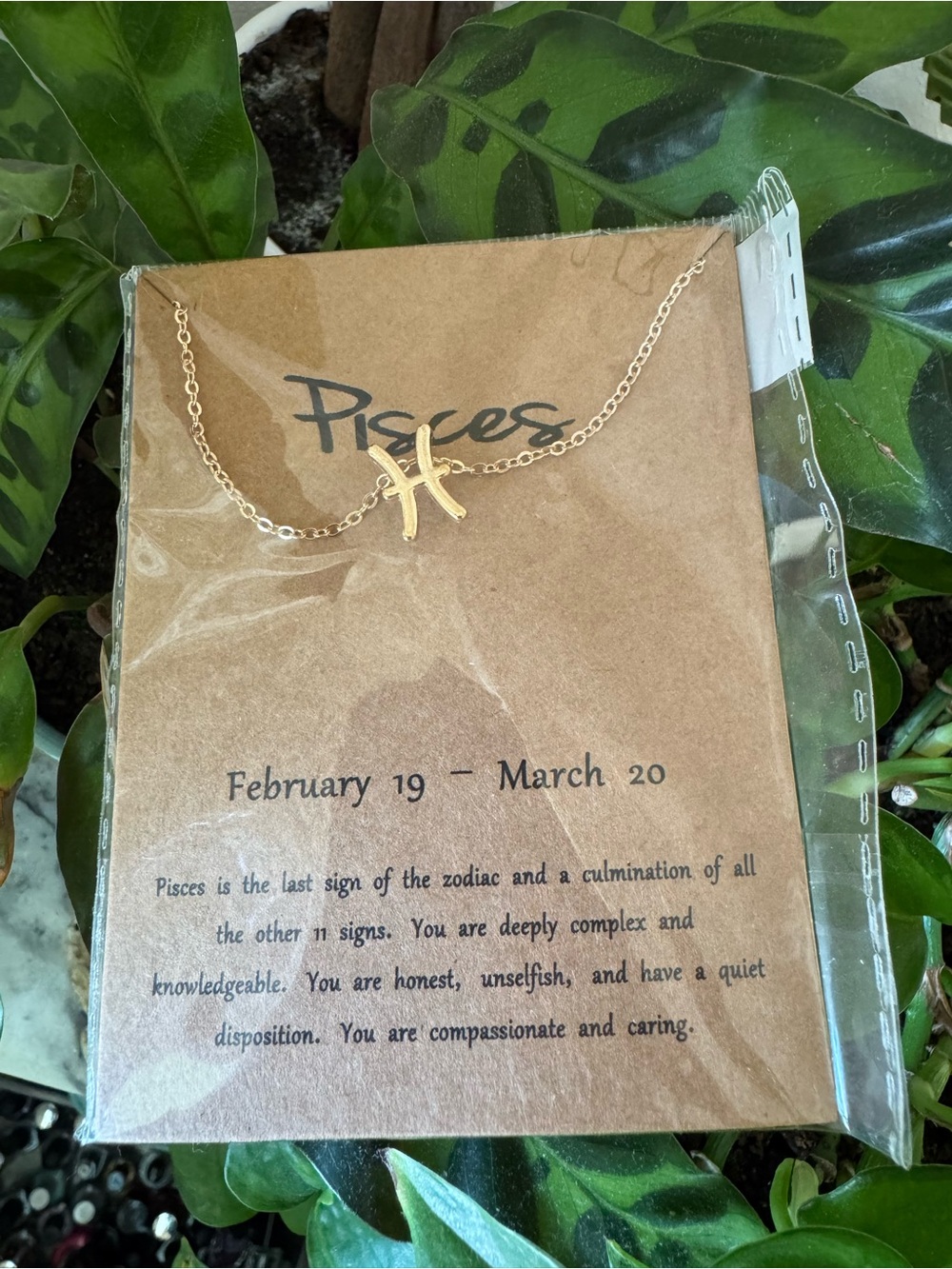 Gold Pisces Zodiac Necklace - Pisces Necklace